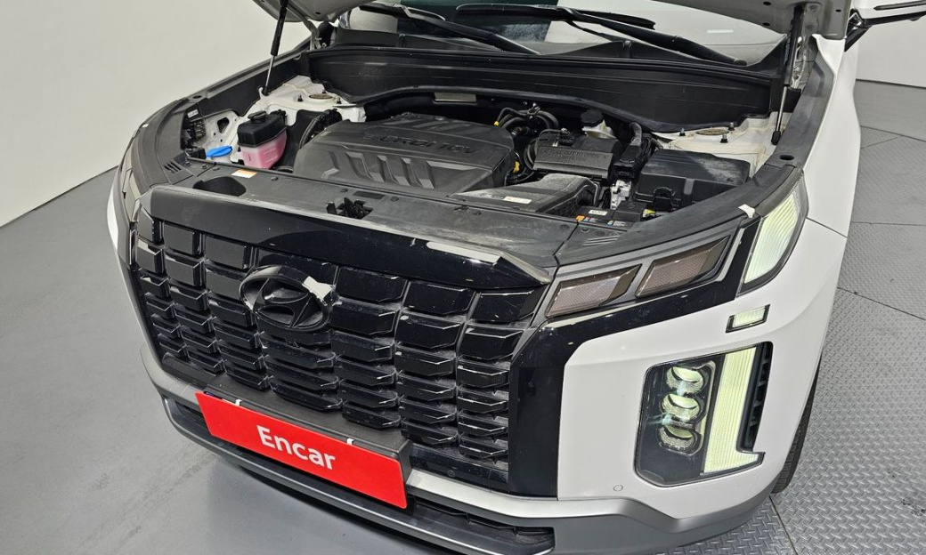 Hyundai Palisade Diesel 2.2 2WD, 2024
