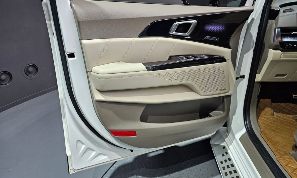 Kia Carnival 9-Seater Hi-Limousine, 2022