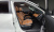 Kia Seltos Gasoline 2.0 2WD, 2023