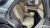 Genesis GV70 2.5T Gasoline 2WD, 2021