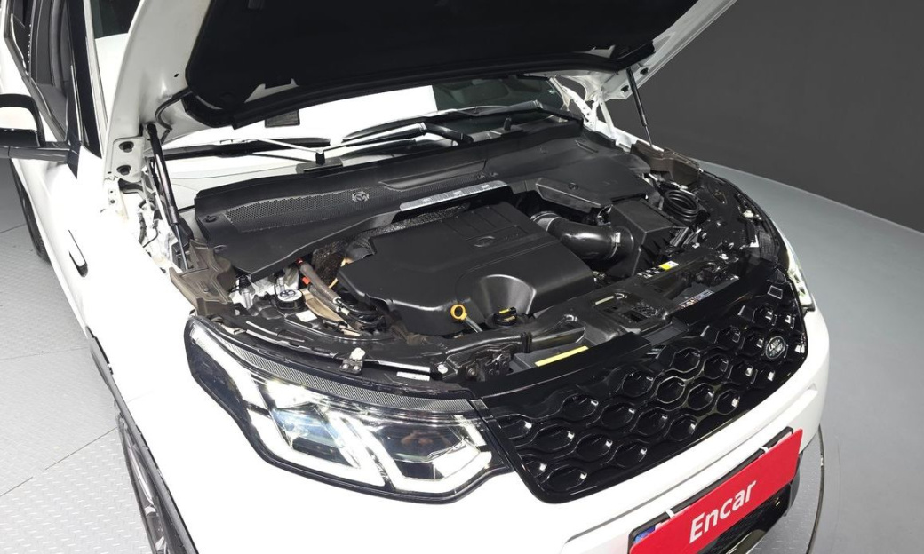 Land Rover Discovery Sport P250 Dynamic SE, 2025