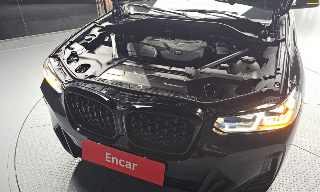 BMW X4 xDrive20i M Sport Pro Special Edition, 2025
