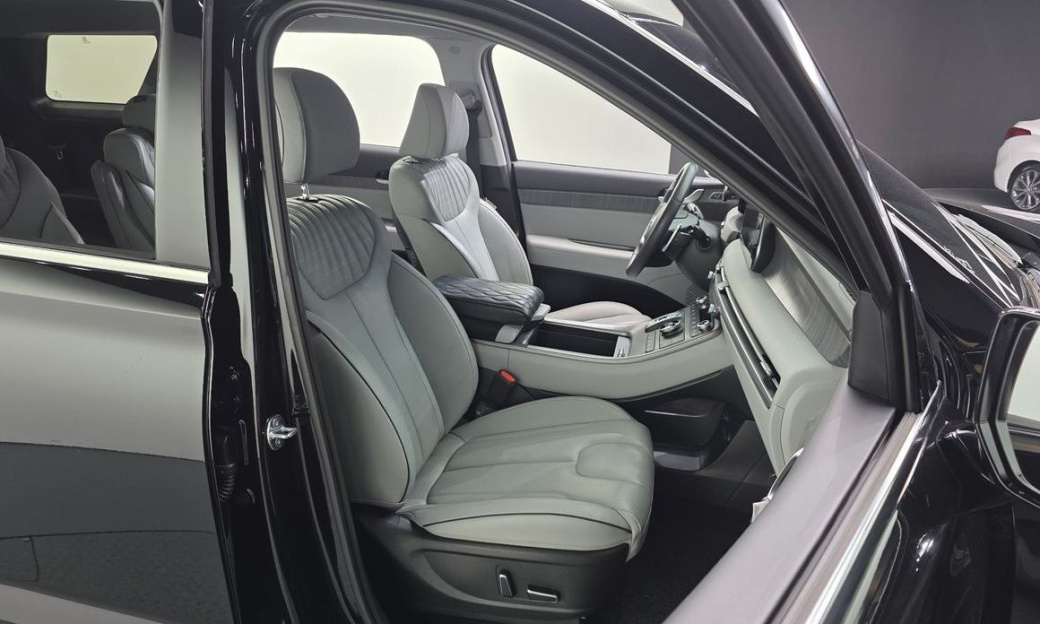 Hyundai Palisade Diesel 2.2 2WD, 2024