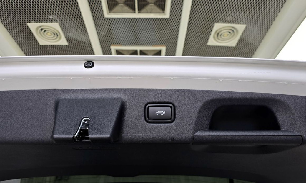 Hyundai Palisade Diesel 2.2 2WD, 2024