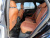 Audi Q5 45 TFSI Quattro Premium, 2023