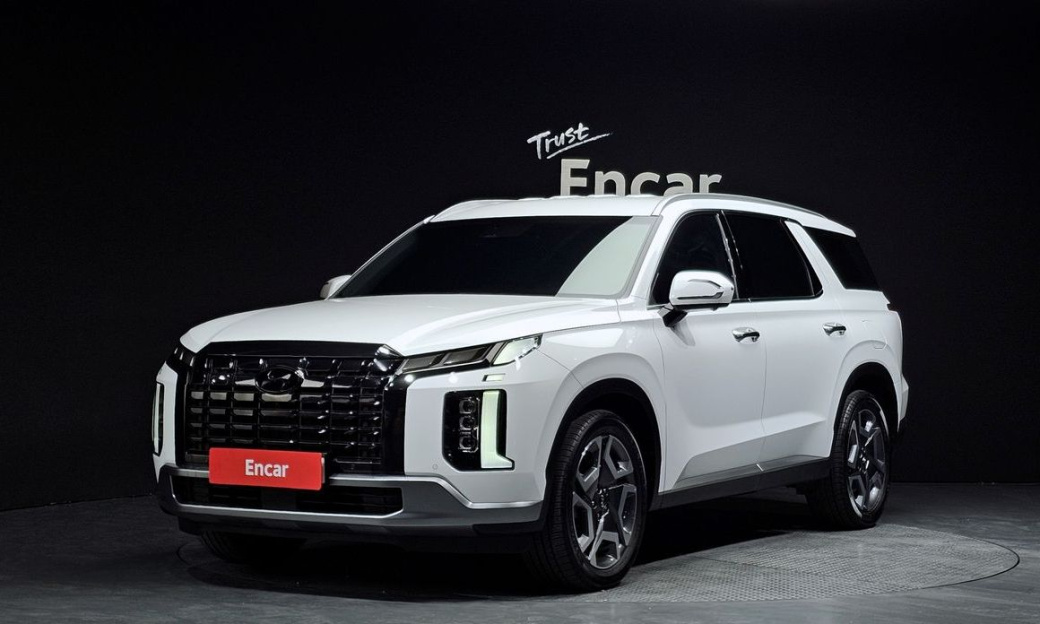 Hyundai Palisade Diesel 2.2 2WD, 2024