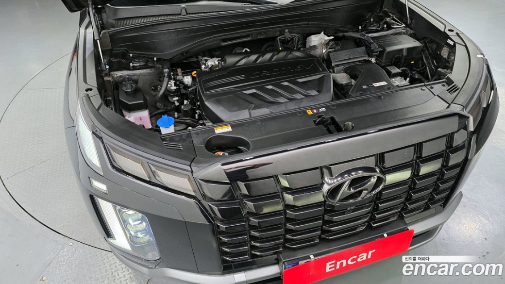 Hyundai Palisade Diesel 2.2 2WD, 2024