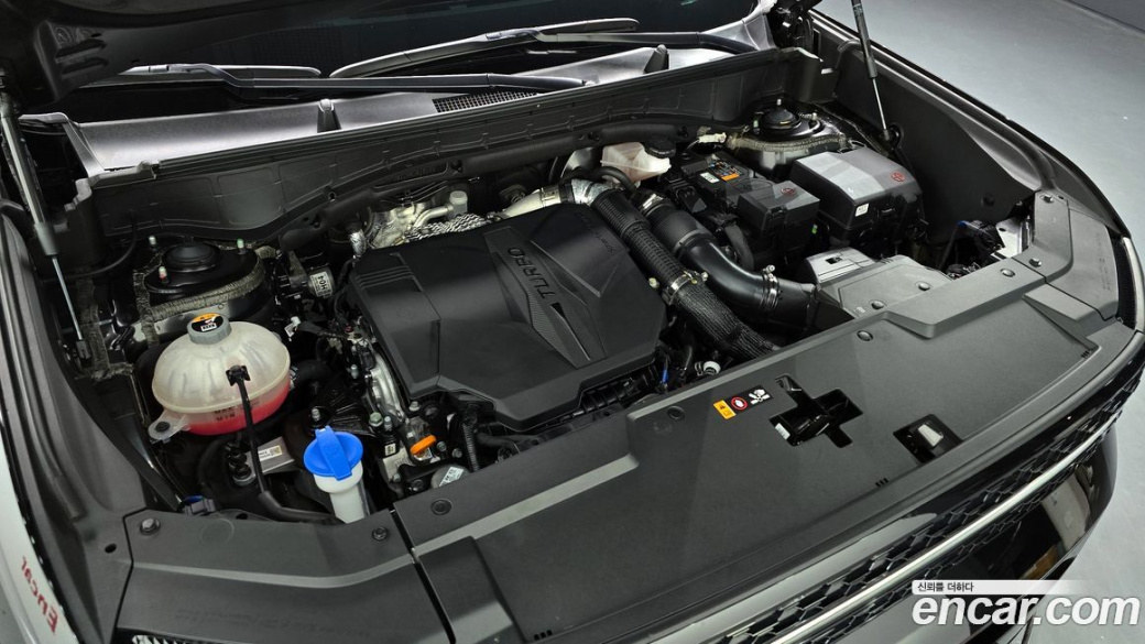 Hyundai Santafe Gasoline 2.5T 4WD, 2024