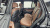BMW X5 xDrive 40i M Sport, 2023