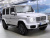 Mercedes-Benz G-Class G450d, 2025