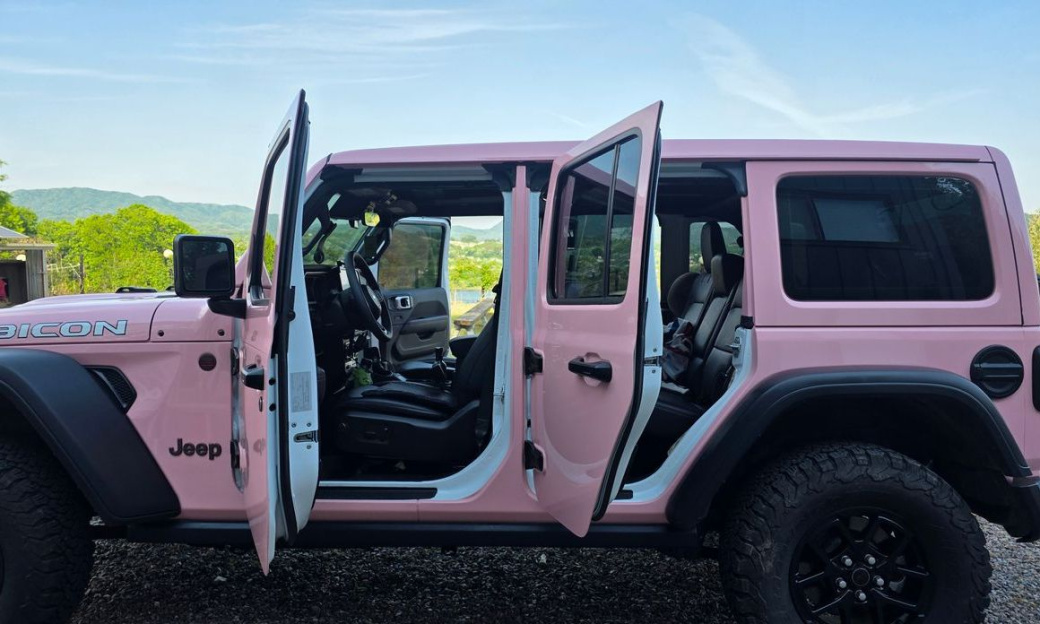 Jeep Wrangler 2.0 Rubicon Power Top 4Door, 2024