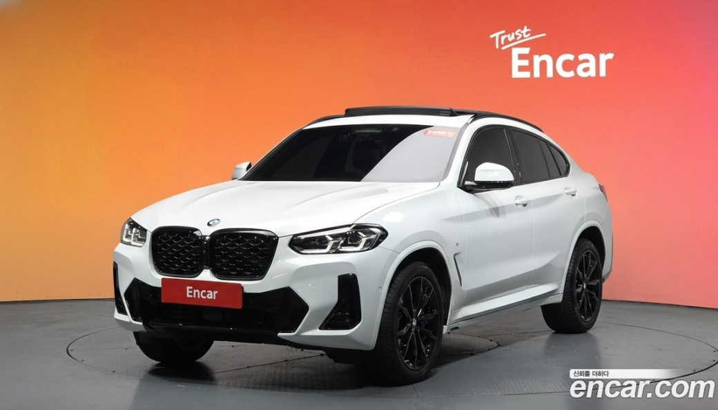 BMW X4 xDrive20i M Sport Pro Special Edition, 2025