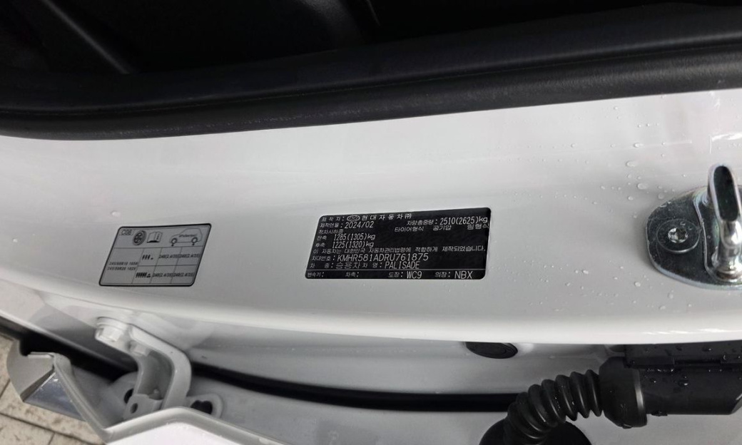 Hyundai Palisade Diesel 2.2 4WD, 2024