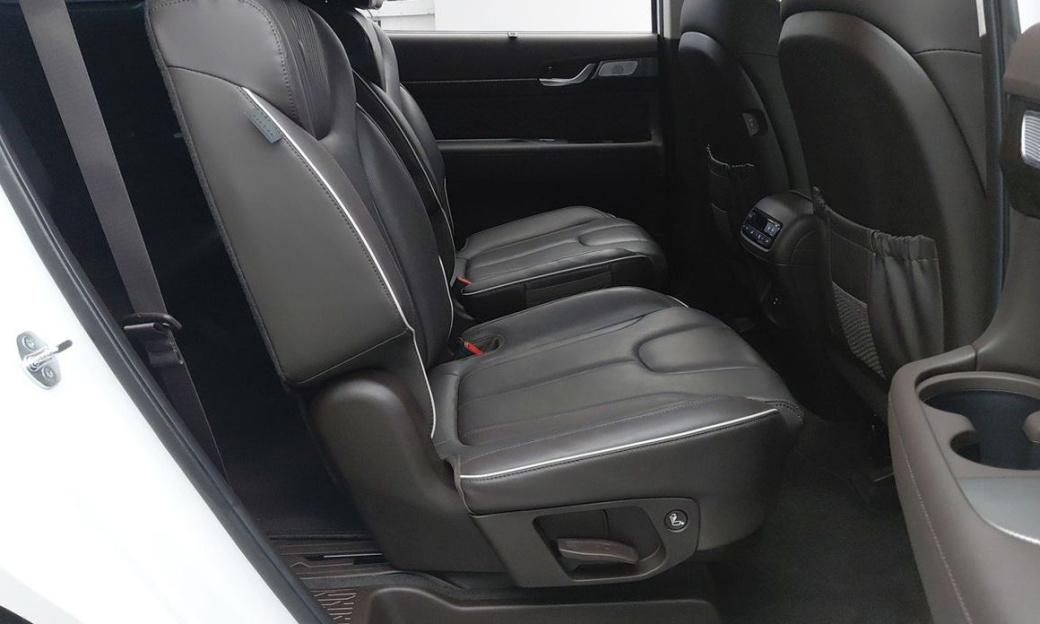 Hyundai Palisade Diesel 2.2 2WD, 2024