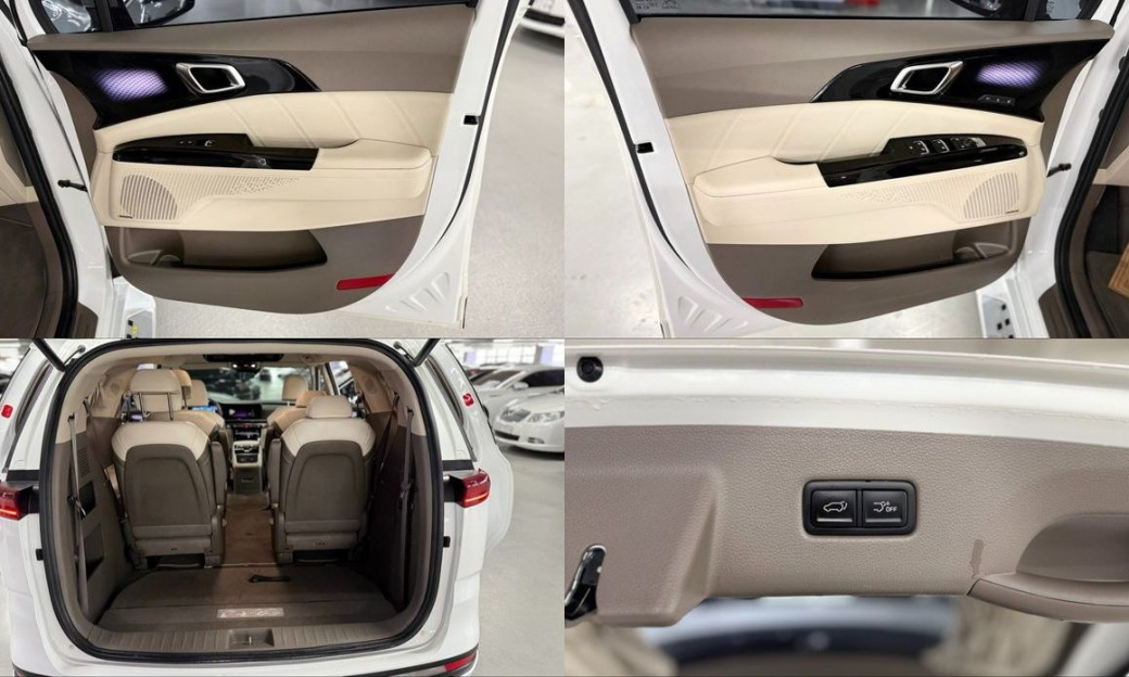 Kia Carnival 9-Seater Hi-Limousine, 2022