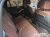 BMW X6 xDrive40i M Sport, 2025