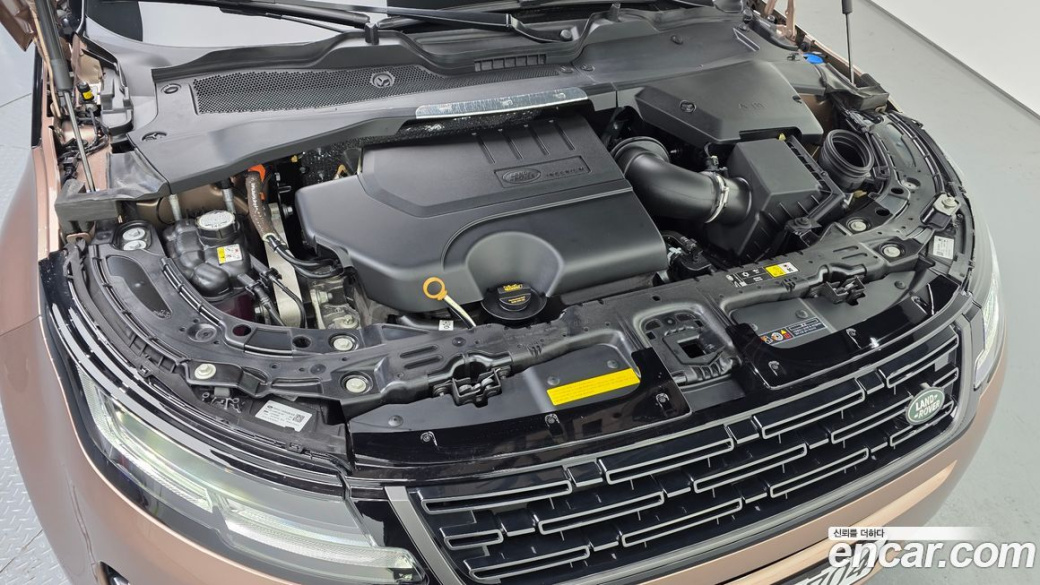 Land Rover Range Rover Evoque P250 Dynamic SE, 2025