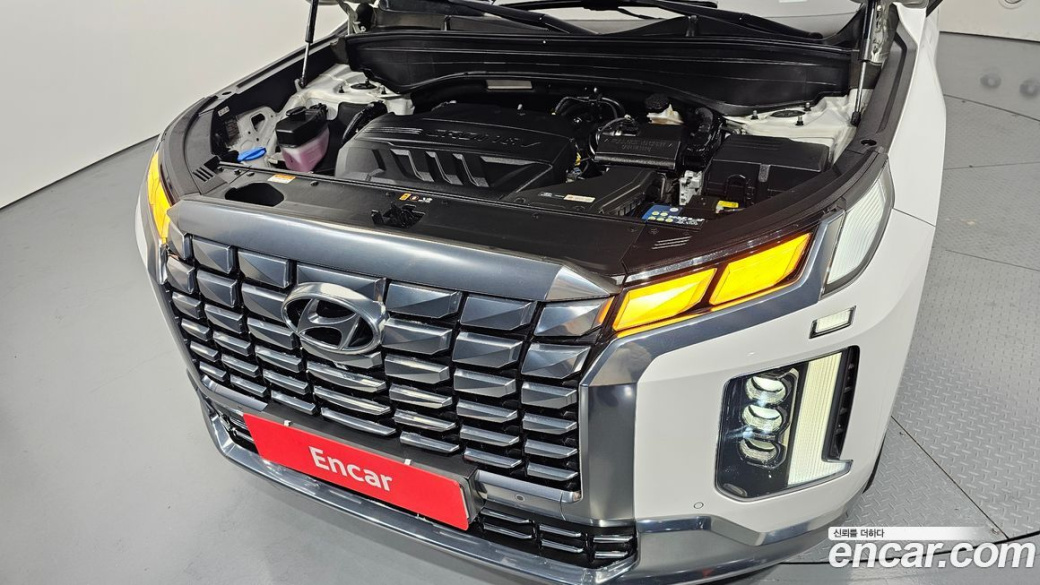 Hyundai Palisade Diesel 2.2 4WD, 2023