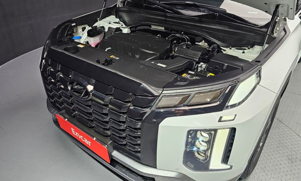 Hyundai Palisade Diesel 2.2 2WD, 2024