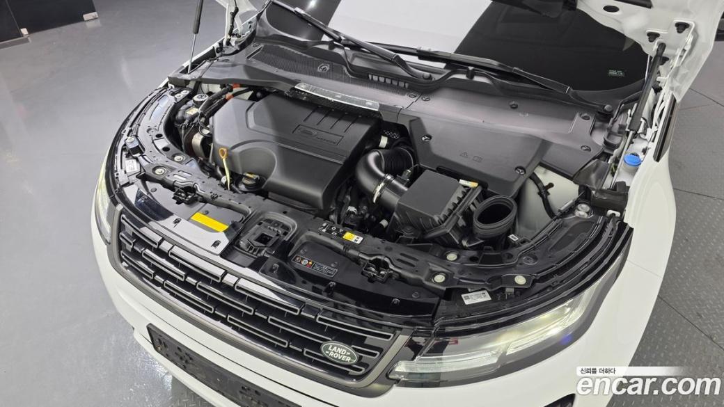 Land Rover Range Rover Evoque P250 Dynamic SE, 2025