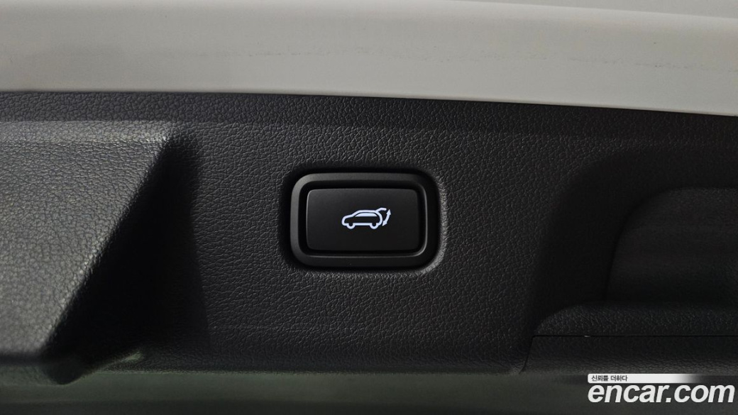 Hyundai Palisade Diesel 2.2 2WD, 2024