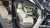 Kia Carnival 9-Seater Hi Limousine, 2024