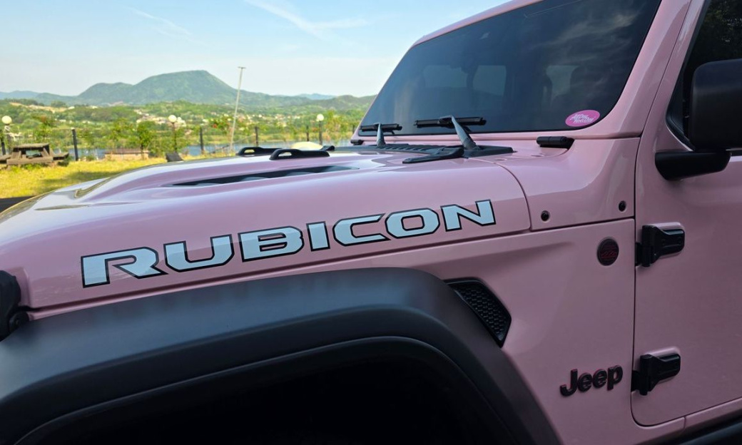 Jeep Wrangler 2.0 Rubicon Power Top 4Door, 2024