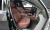 BMW 7-Series 740i xDrive M Sport, 2025