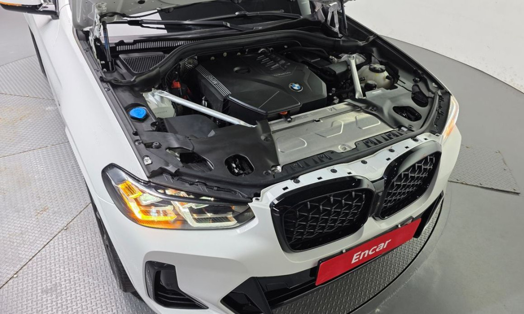BMW X4 xDrive20i M Sport Pro Special Edition, 2025