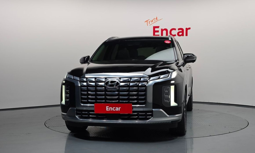 Hyundai Palisade Diesel 2.2 2WD, 2024