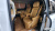 Kia Carnival 9-Seater Signature, 2023