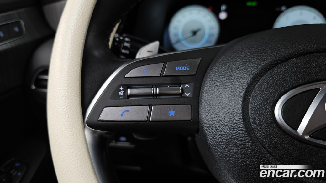 Hyundai Palisade Diesel 2.2 2WD, 2024