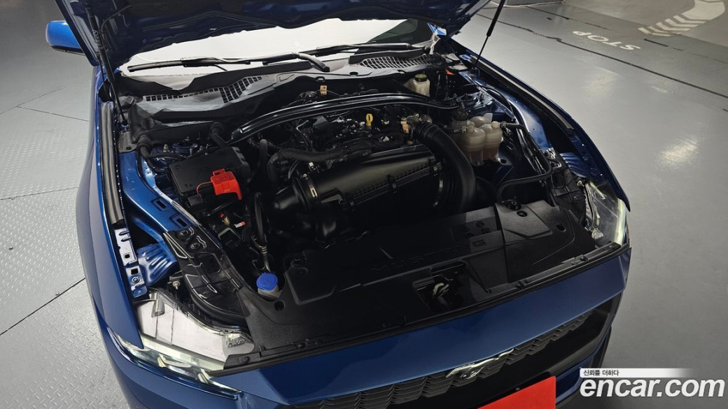 Ford Mustang 2.3 Ecoboost Premium Convertible, 2024