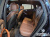 BMW X6 xDrive40i M Sport, 2025