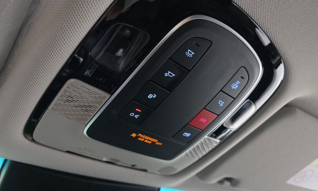 Hyundai Palisade Diesel 2.2 2WD, 2024