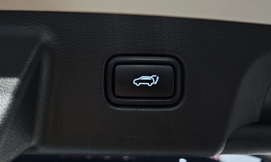 Hyundai Palisade Diesel 2.2 2WD, 2024