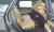 Kia Sorento Gasoline 2.5T 4WD, 2024