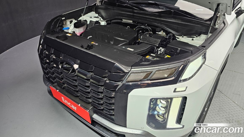 Hyundai Palisade Diesel 2.2 2WD, 2024