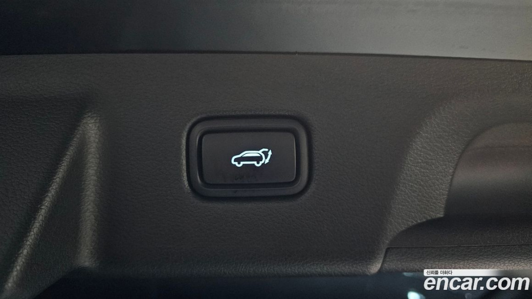 Hyundai Palisade Diesel 2.2 2WD, 2024