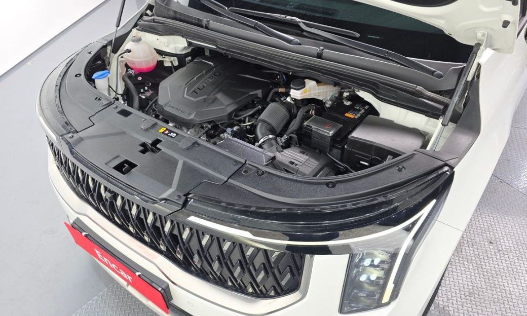 Kia Carnival 9-Seater Signature, 2024