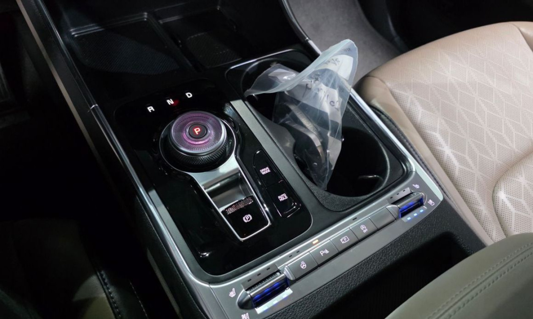 Kia Carnival 9-Seater Noblesse, 2024
