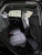 Audi Q5 40 TDI Quattro S Line Sportback, 2025