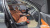 BMW X5 xDrive 30d xLine, 2022