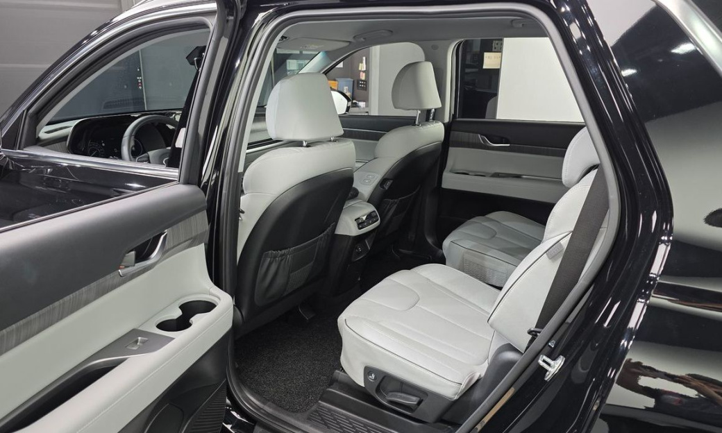 Hyundai Palisade Diesel 2.2 2WD, 2024