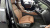 BMW X6 xDrive40i M Sport, 2024