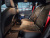 Mercedes-Benz GLB-Class AMG GLB35 4MATIC, 2025