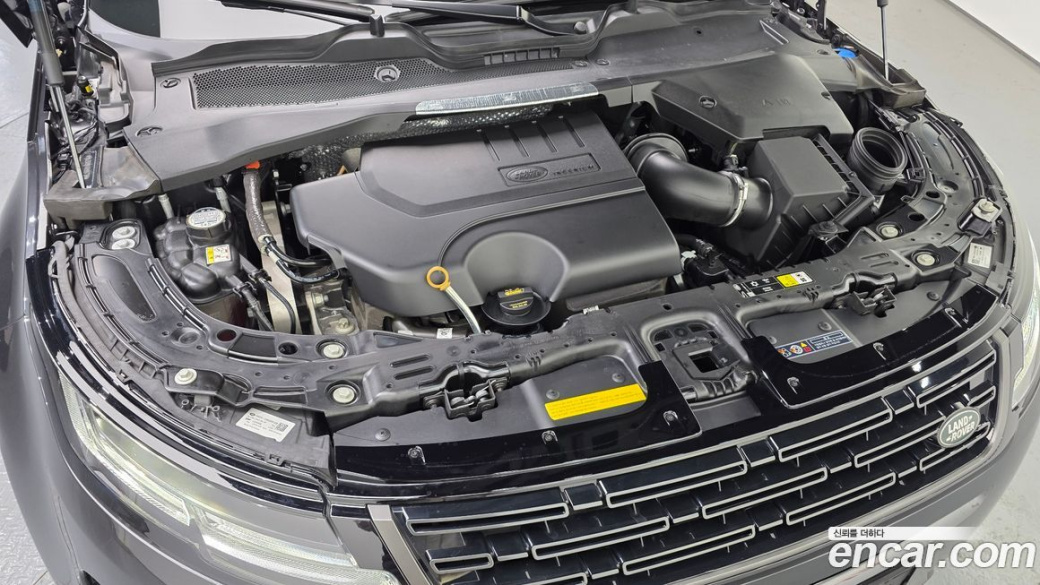 Land Rover Range Rover Evoque P250 Dynamic SE, 2025