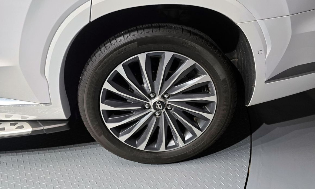 Hyundai Palisade Diesel 2.2 2WD, 2024