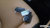 Kia Carnival 7-Seater Signature, 2023