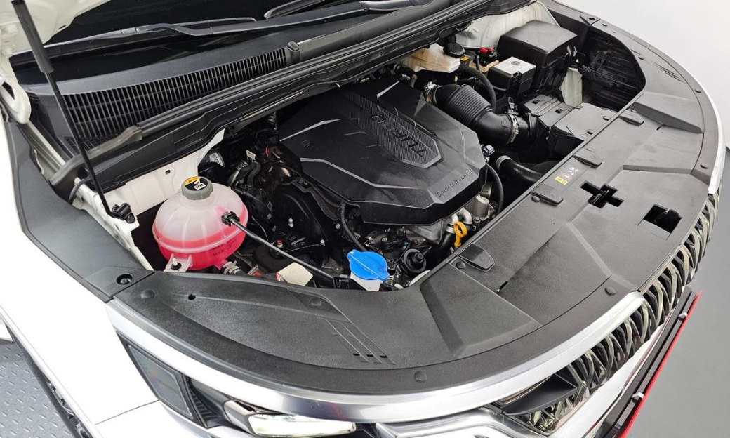 Kia Carnival 9-Seater Hi-Limousine(Special Vehicle), 2021